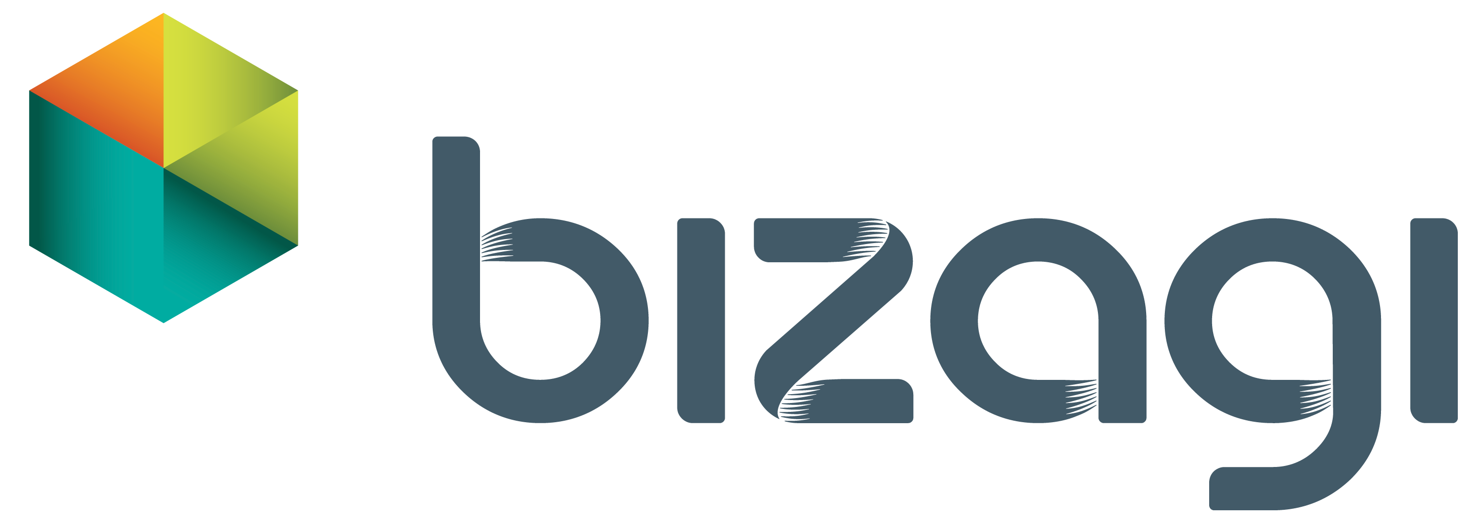 Bizagi